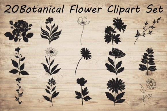 Botanical Flower Silhouette: A Design Evaluation