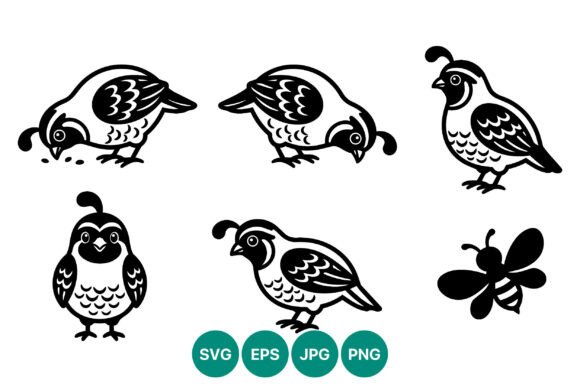 Quail Bird Vector Art with Bee Black: A Practical Evaluation
